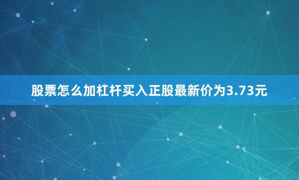 股票怎么加杠杆买入正股最新价为3.73元