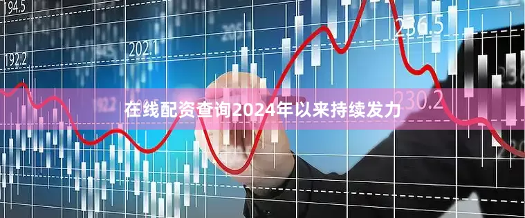 在线配资查询2024年以来持续发力
