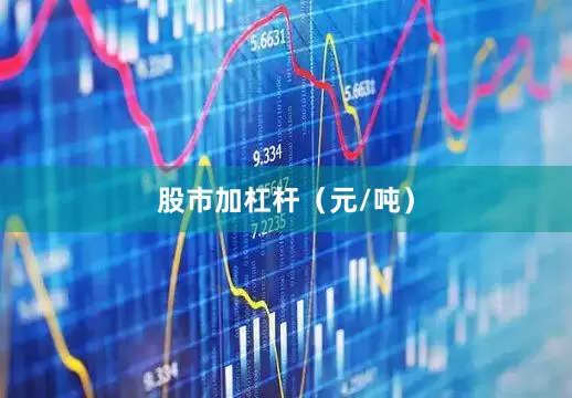 股市加杠杆（元/吨）