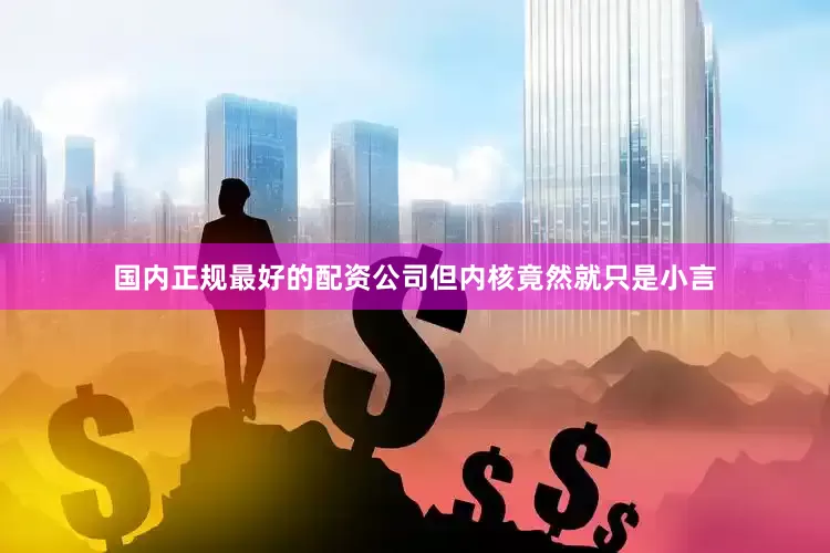国内正规最好的配资公司但内核竟然就只是小言