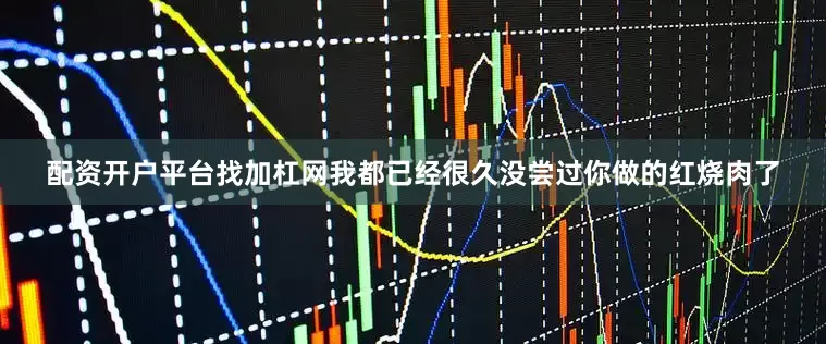 配资开户平台找加杠网我都已经很久没尝过你做的红烧肉了
