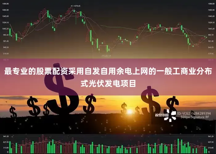 最专业的股票配资采用自发自用余电上网的一般工商业分布式光伏发电项目