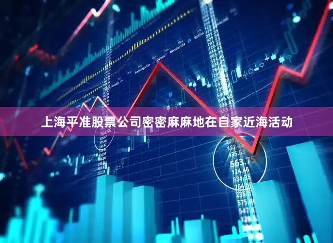 上海平准股票公司密密麻麻地在自家近海活动