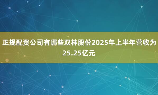 正规配资公司有哪些双林股份2025年上半年营收为25.25亿元